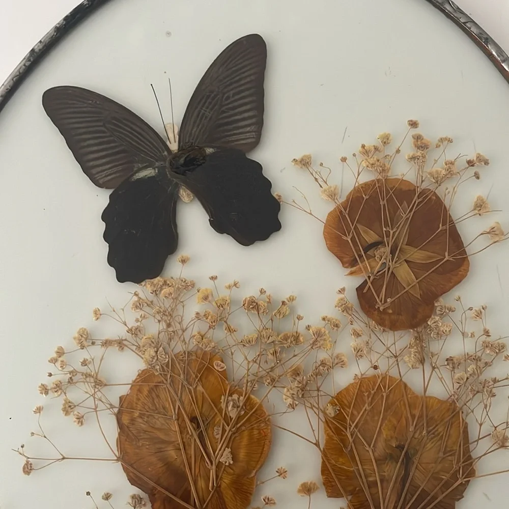 Wall Art dried butterflies and flowers Set of 2
